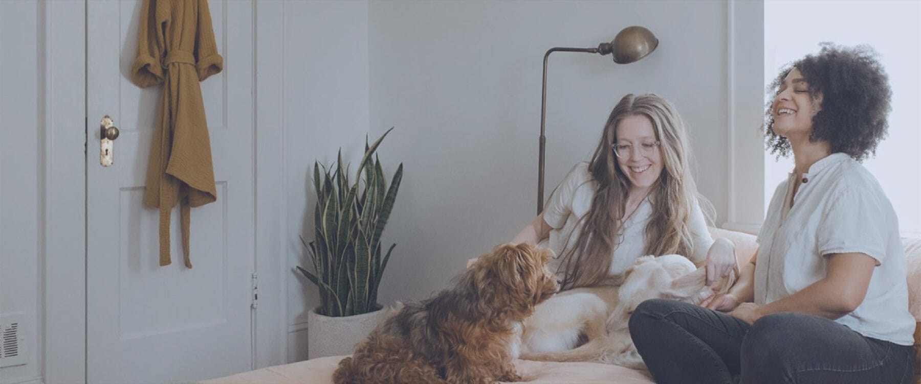 Women laughing on couch with a dog